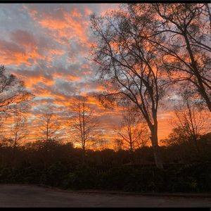 Meet your Posher, Luis